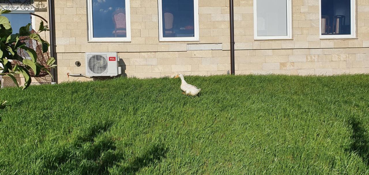 Apartmani Bojeresku Negotin Buitenkant foto