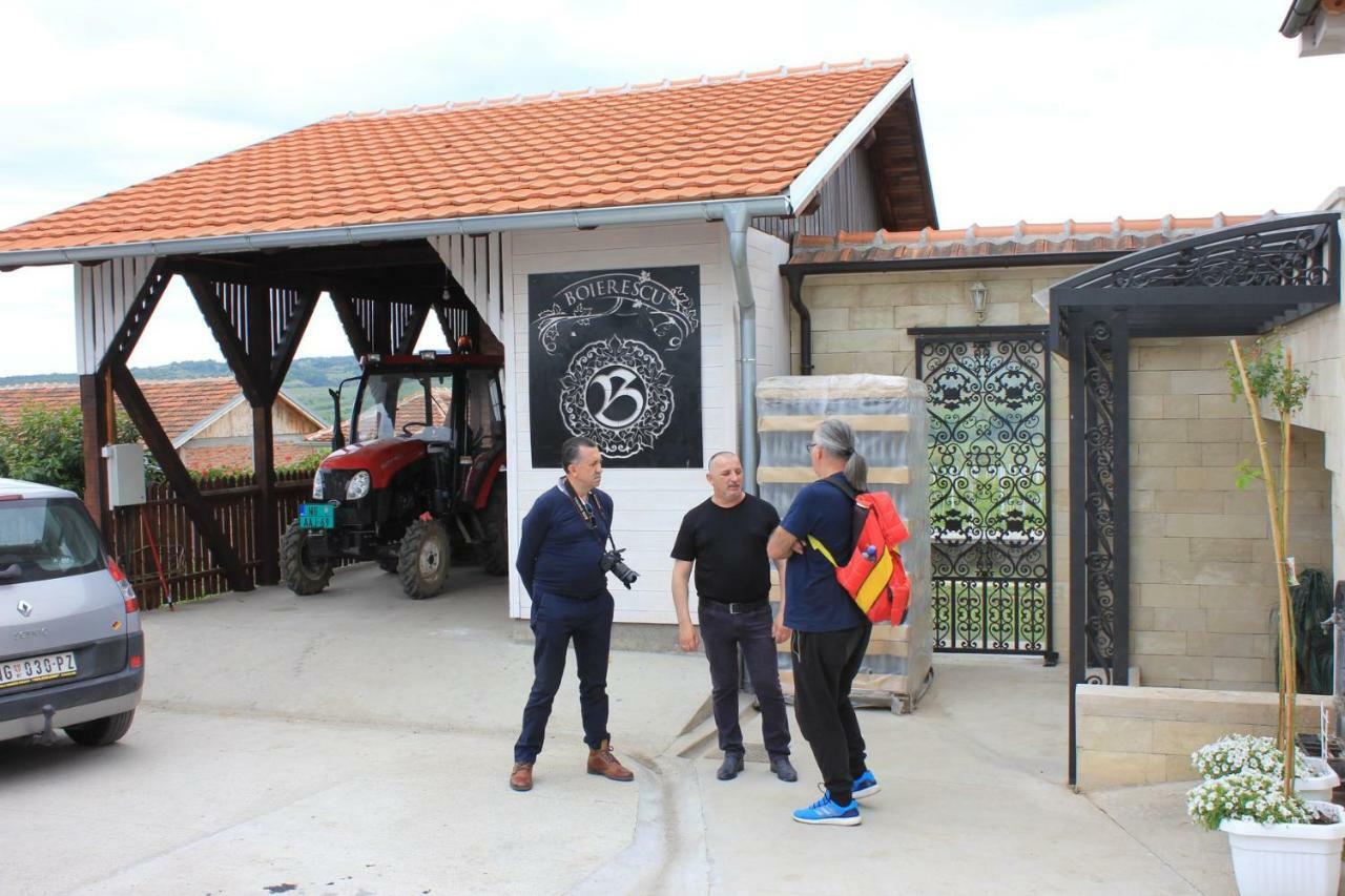 Apartmani Bojeresku Negotin Buitenkant foto